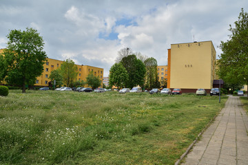 Fototapeta na wymiar Samochody przed blokami mieszkalnymi między trawnikami i drzewami w letni pogodny dzień.