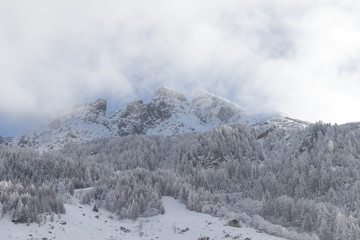 Fototapeta na wymiar Piz tomuel or wissensteinhorn mountain and forest covered with snow seen from vals in switzerland.