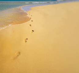 Footprints in the sand on the beach by the sea