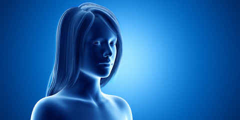 3d rendered medically accurate illustration of a female