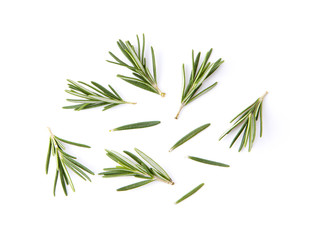 fresh rosemary isolated on white background