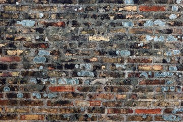 Grunge brick wall with bricks of different colors partially stained by mold and moss. Texture and background.