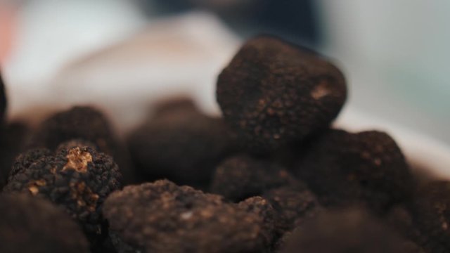 Close Up View Over Black Truffles In A Bowl. Rack Focus
