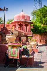 Flower pot- A Traditional Indian pot for planting trees