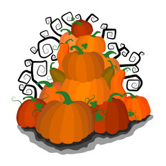 The hill from different pumpkins, a symbol of a holiday of All Saints Day
