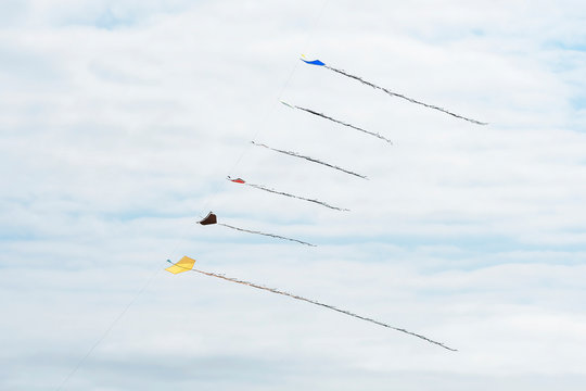 Brazilian kites flying in line by a single row. Long tailed kites on the sky.