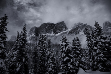 Daolomiti Italia, vista del Sass Pordoi 