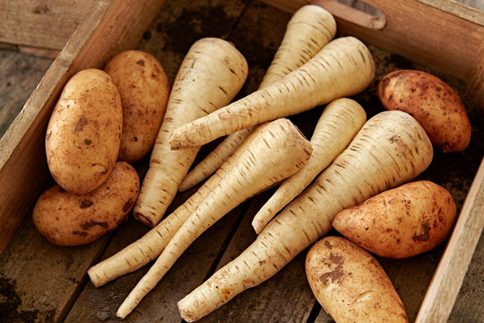 Still life fresh, organic, healthy, rustic, dirty parsnips potatoes in wood crate