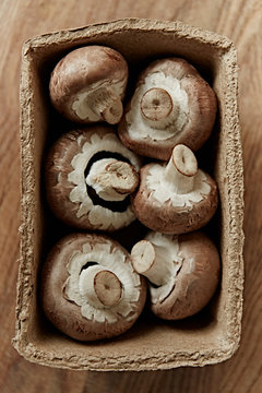 Still life fresh, organic, healthy, six brown mushrooms in container