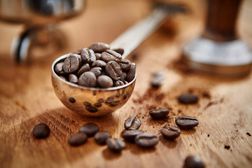 Close up roasted coffee beans in measuring cup scoop