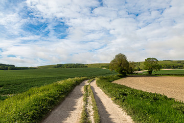 Fototapeta na wymiar Looking along a dirt road through farmland in the South Downs, on a sunny late spring day