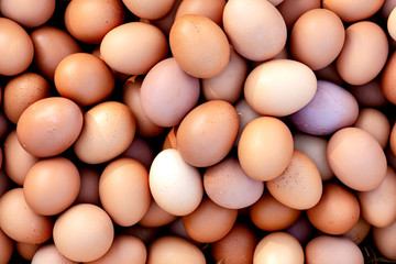 Superb quality eggs. Close up of many fresh organic farm eggs lying together. Organic farming, animal rights, back to nature concept. Horizontal shot. Top view