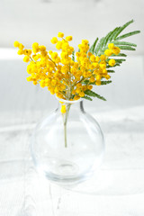 8 march. Bouquet of mimosa flowers on wooden background