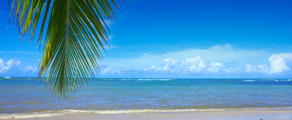 Tropical beach with palm tree branch and Caribbean sea.