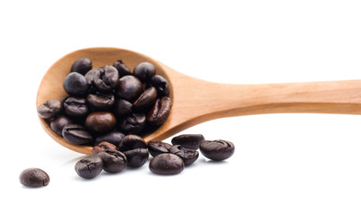 Coffee Bean with white background