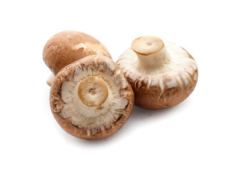 champignon mushrooms on white background