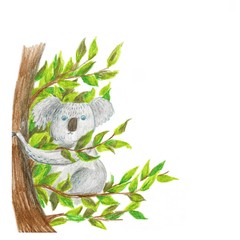 Koala cute illustration on a white background. Greeting card. Flat design. © Yana Protsenko