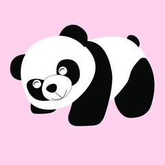 Cartoon panda bear isolated on pink background. Mammals.