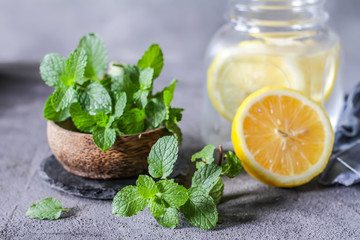 Photo of fresh cool lemon mint water. Infused water. Cocktail. Detox drink. Health care. Fitness. Summer drink. Still life photography. Image.