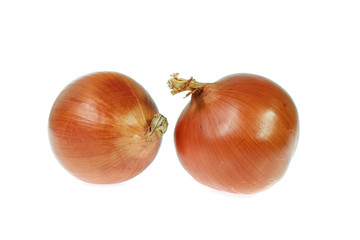 onion isolated on white