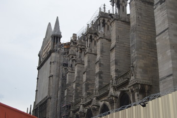 Notre Dame Cathedra
