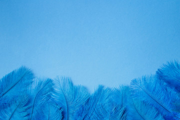 Group of fluffy blue feathers border background