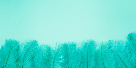 Group of fluffy blue feathers border background