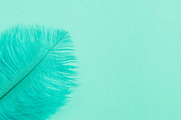 Abstract luxury background with mint green feather