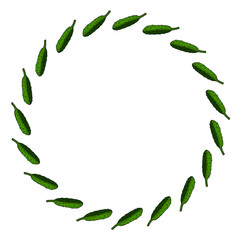 Round frame with horizontal vector cucumber. Isolated wreath on white background for your design