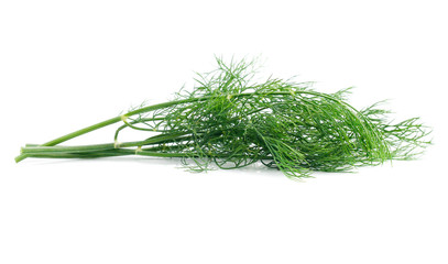Green dill isolated on white background