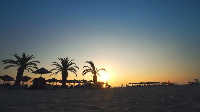 Woman in a hat walking on the sand and watching sunset at tropical beach with palm trees