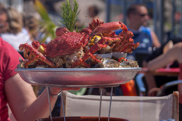 Seafood