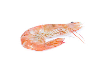 Shrimp isolated on the white background