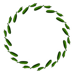 Round frame with horizontal drawing cucumber. Isolated wreath on white background for your design