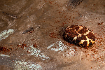 Galletas crujientes de almendra i chocolate 