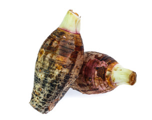 taro isolated on white background