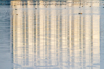Reflection in winter