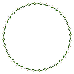 Round frame with horizontal fresh cucumber. Isolated wreath on white background for your design