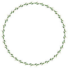 Round frame with horizontal fresh cucumber. Isolated wreath on white background for your design