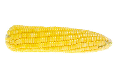 An ear of corn isolated on a white background
