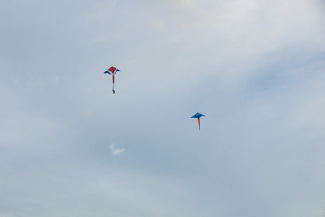 Two kites on sky