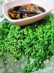 medical ayurvedic azadirachta indica or siam meem or Nim bitter vegetable the herbal Thai local...