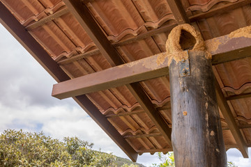 Mud birds nest of swallows made out of clay under an outdoor tile rooftop on top of a supporting column for the structure with natural surrounding in the background