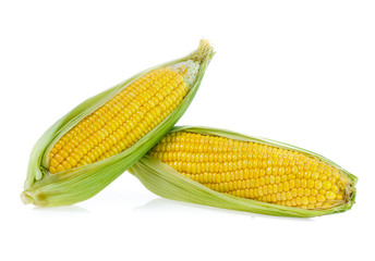 Corn on white background