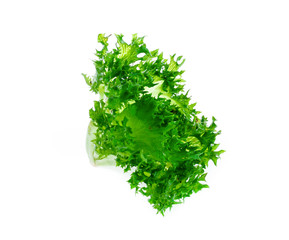 Fresh lettuce leaves isolated on white background