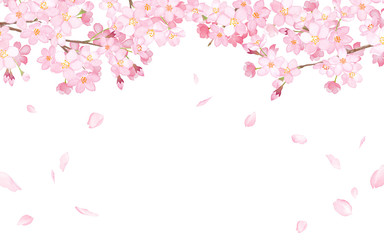 桜と散る花びらのフレーム　水彩イラスト