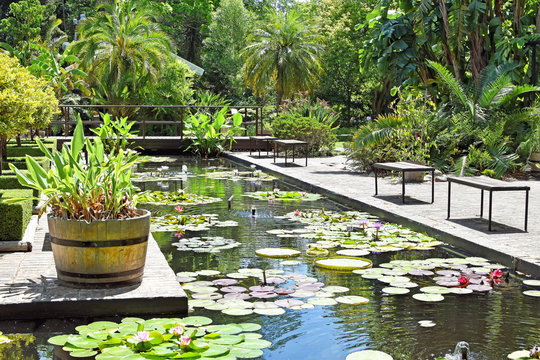 Stellenbosch University Botanical Garden, South Africa