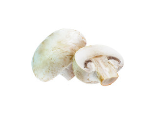 Mushroom champignon isolated on white background