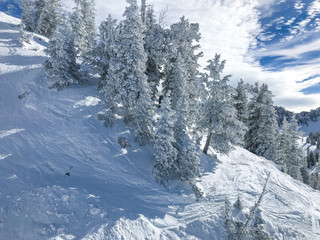 View of the slopes of Alta ski resort in Utah.