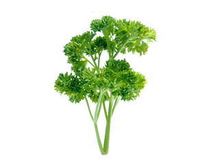 parsley isolated on white background